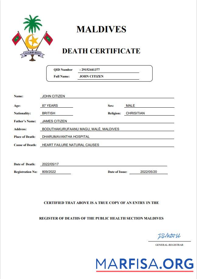 Blank Maldives vital record death certificate Word and PDF template